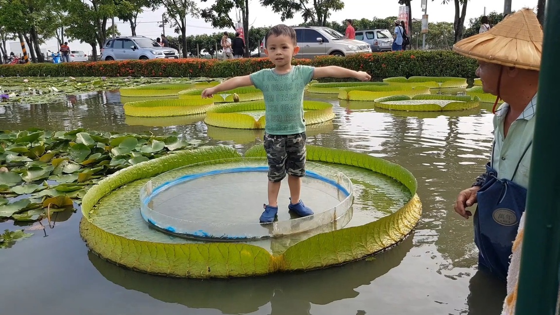 我們家的小陀螺