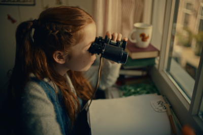 小波的朋友圖鑑