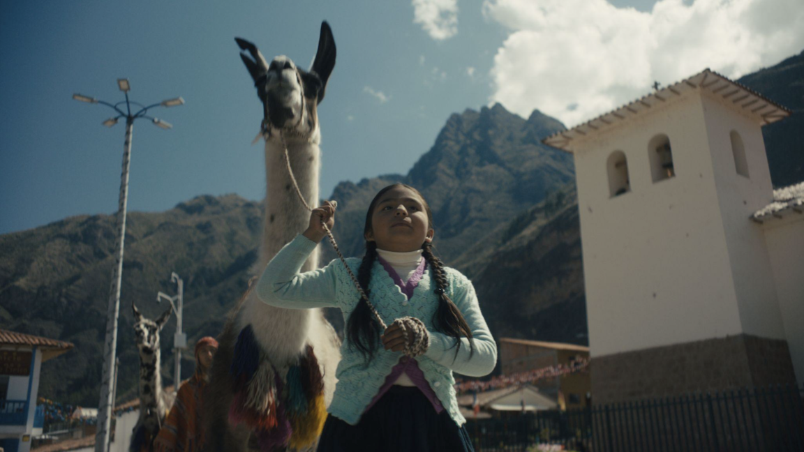 羊駝女孩向前衝